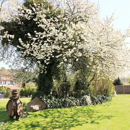 Ostseeresidenz 26 شقة Wischuer